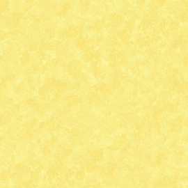 Spraytime Pale Lemon 2800-Y03