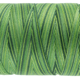 Fruitti Evergreen FTS-31