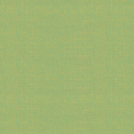 Shot Cottons Kaffe Fassett SCGP137.APPLE