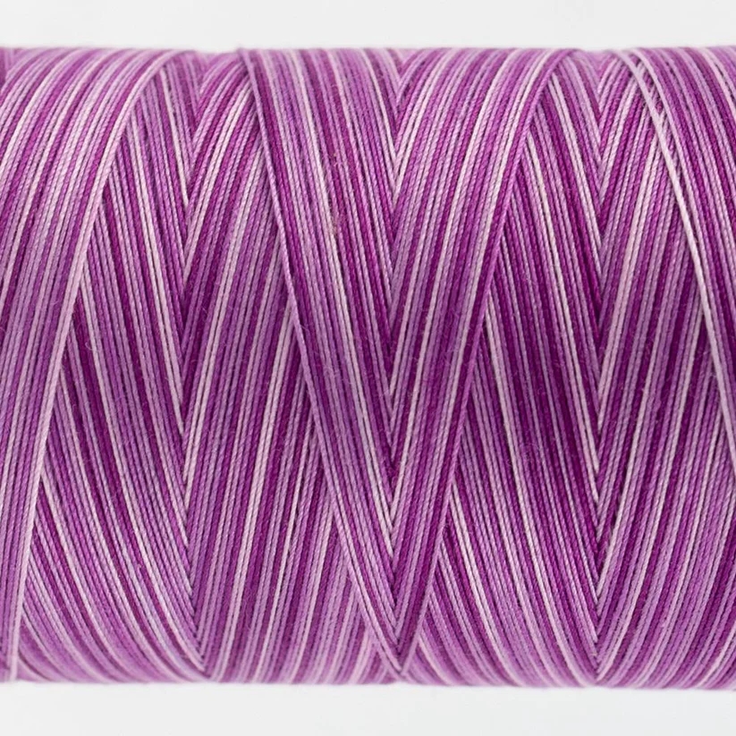 Tutti Grapes TUS-16