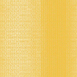 Kimberbell Basics by Maywood Studio MAS8259-S