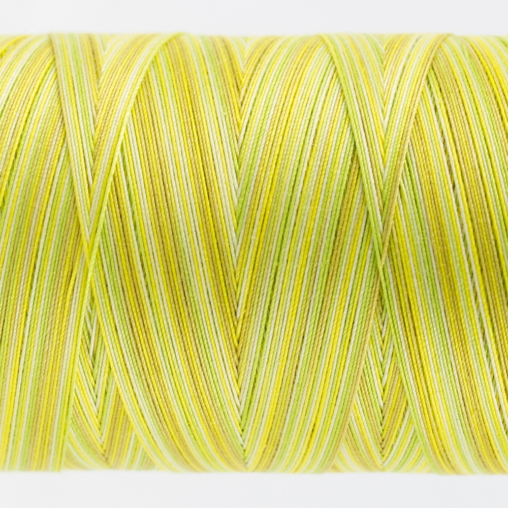 Tutti Citrus TUS-03