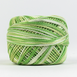Eleganza Butter Lettuce EZM1067