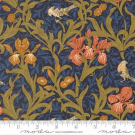 Iris in Twilight Morris Muse 13380-14