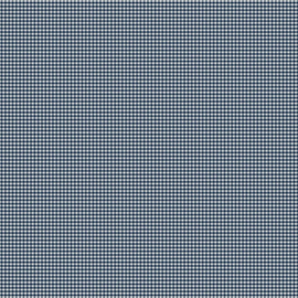 Webstoff Vichy Ruit blauw-wit P347300