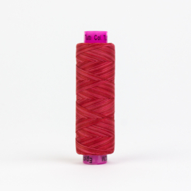 Tutti Strawberry TUS-12