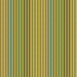 Woven Stripes by Kaffe Fassett WSGP001.SPROUT