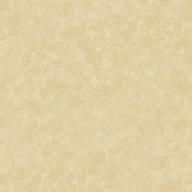 Spraytime Natural 2800-Q60