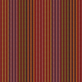 Woven Stripes by Kaffe Fassett WSGP001.EARTH