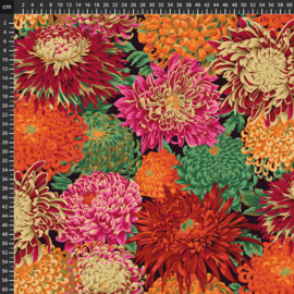 Kaffe Fassett Collective Classics 8200-185