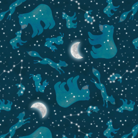 Happy Campers Constellations 2736-77
