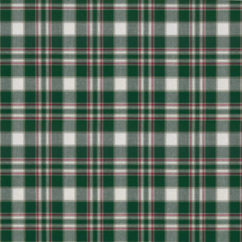 Webstoff Trondheim Ruit groen W4016100