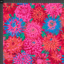 Kaffe Fassett Stash 8200-377