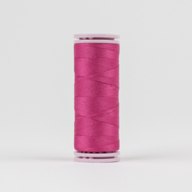 Efina Raspberry EFS-22