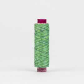 Fruitti Evergreen FTS-31