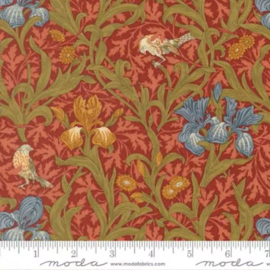 Iris in Russet Morris Muse 13380-16