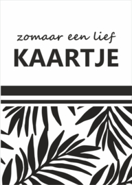 zomaar een kaartje