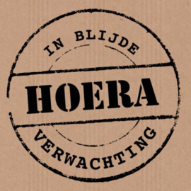 Blijde verwachting