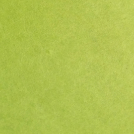 vloeipapier - lime - 240 vel | 50 x 70