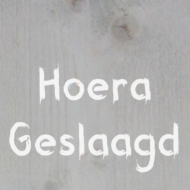 Hoera geslaagd