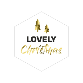 Lovely Christmas