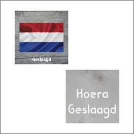 Geslaagd