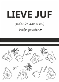 lieve juf