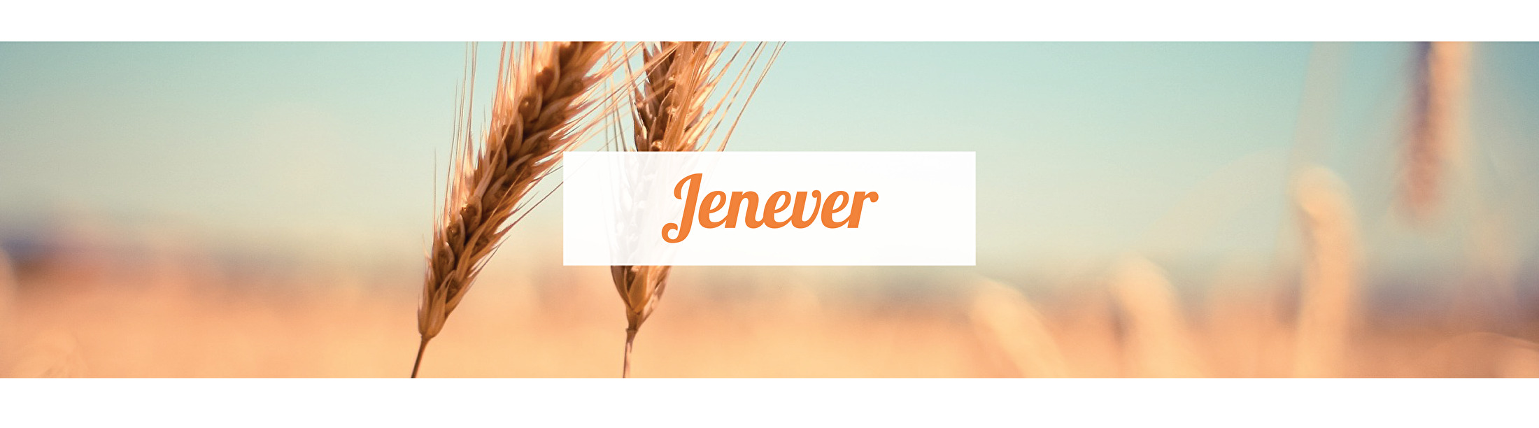 jenever