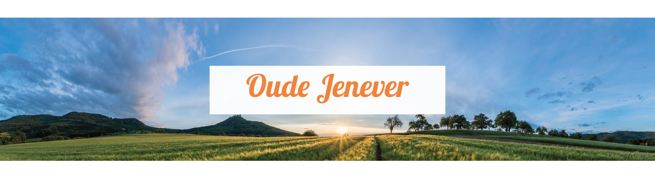 Oude jenever