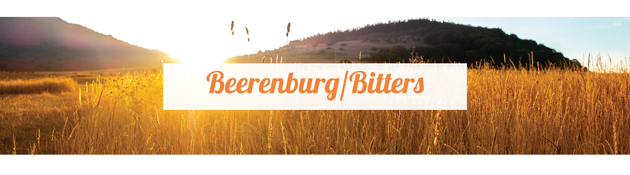 Beerenburg/bitters