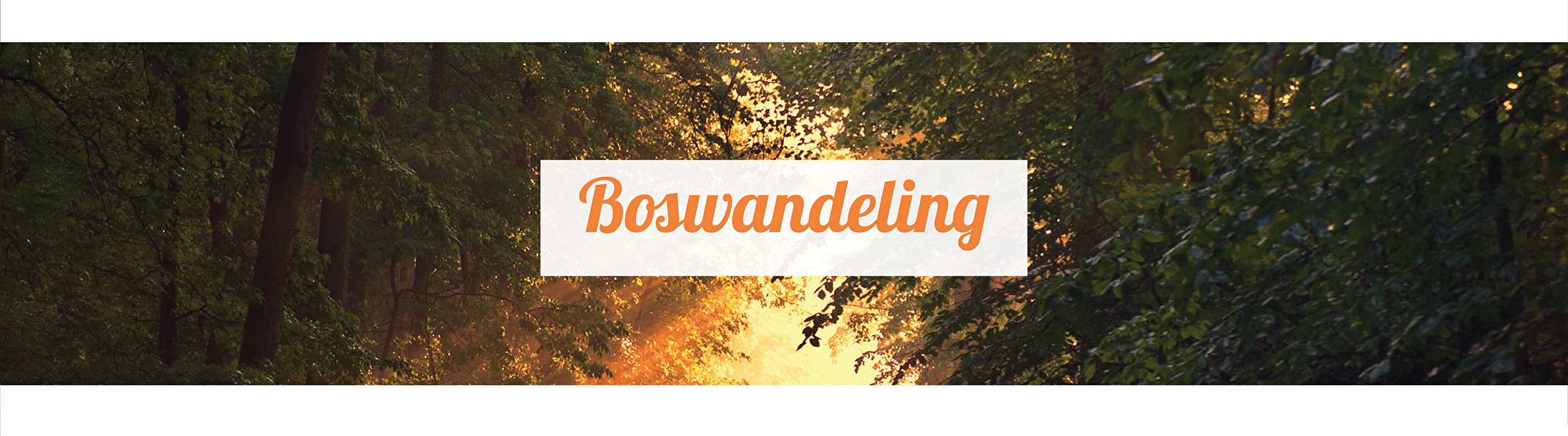 boswandeling