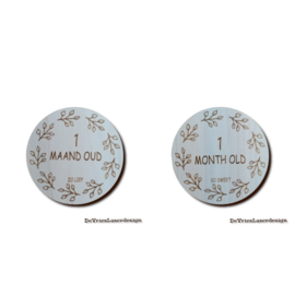 Set Mijlpaal Bordjes