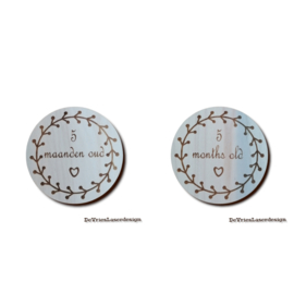 Set Mijlpaal Bordjes