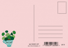 pilea plantenkopje