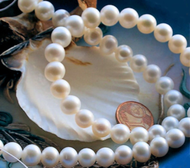 set/5 Beads: Large Freshwater Pearls - approx 8,5 mm - White - AA