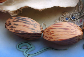 set/2 Large Beads: Palm-Wood- Tapered Faceted - approx 27 mm - Natural