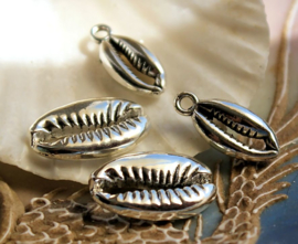 1 Charm: Cowry Shell - 18 or 19 mm - Antique Silver tone