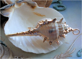 A lovely pendant made from a natural Shell - length approx 60-65 mm
