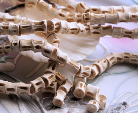 set/5 Tribal Beads made from Fish-Spine-Bone from KENYA - 7x8 mm - Off White