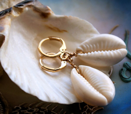 Paar Oorbellen met Cowry Schelpjes - Goud/Zilver/Echte Schelpjes