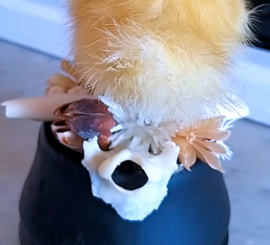 Revenge of the Fluffie: Duckling on a stand, with dried flowers, skull & bones