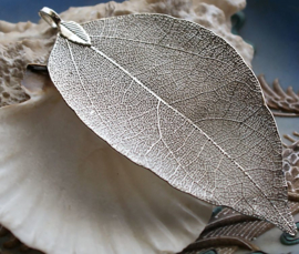 Prachtige hanger, gemaakt van een echt Blad skelet,  in Antiek Zilver Kleur Metaal