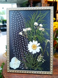 Parelhoender-Veer en Droogbloemen in Vintage lijstje - Zwart Wit