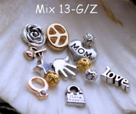 Memory Locket Inhoud (voor variant met glas) - 4-10 mm - DIVERSE MIX SETS