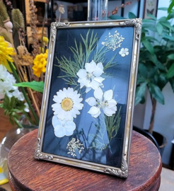 Droogbloemen in Vintage lijstje - Zwart Wit