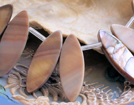 set/2 beads: Mother of Pearl Shell - 30 mm - Natural shades