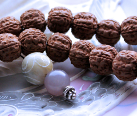 set/10 beads: Rudraksha - Tears of Shiva - ca 12 mm