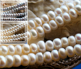 set/10 beads: Freshwater Pearls - Heishi - 7x4 mm - White or Silver-Gray