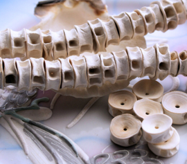 set/5 Tribal Beads made from Fish-Spine-Bone from KENYA - 13x6 mm - Off White