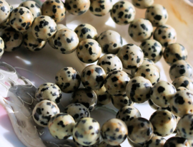 set/6 beads: Dalmation Jasper - Round - 8,7 mm - Black Off-White Beige